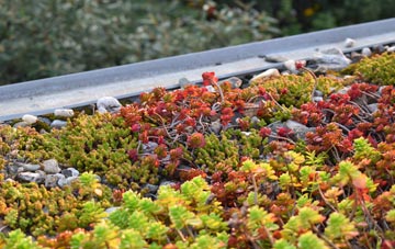 the cost of Kirby Bedon green roof installation