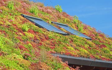 Kirby Bedon living roof systems